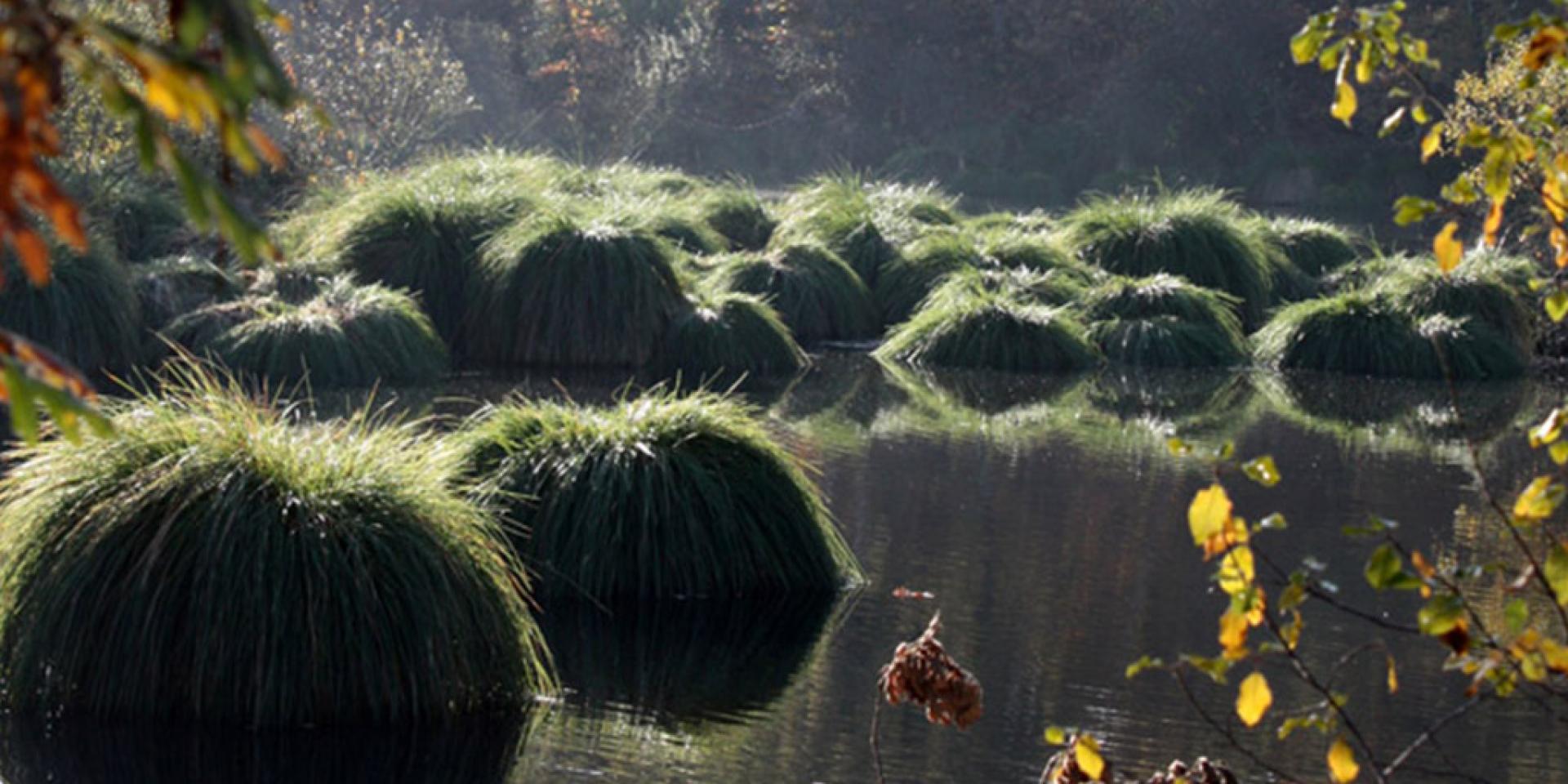 Site des Neuf Fontaines