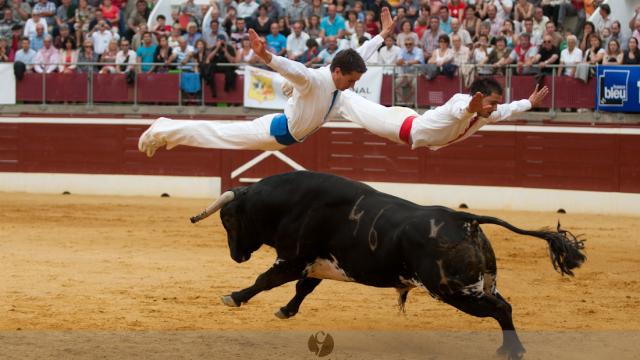Festival Art Et Courage
