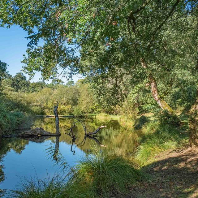 Site des 9 Fontaines - Bostens