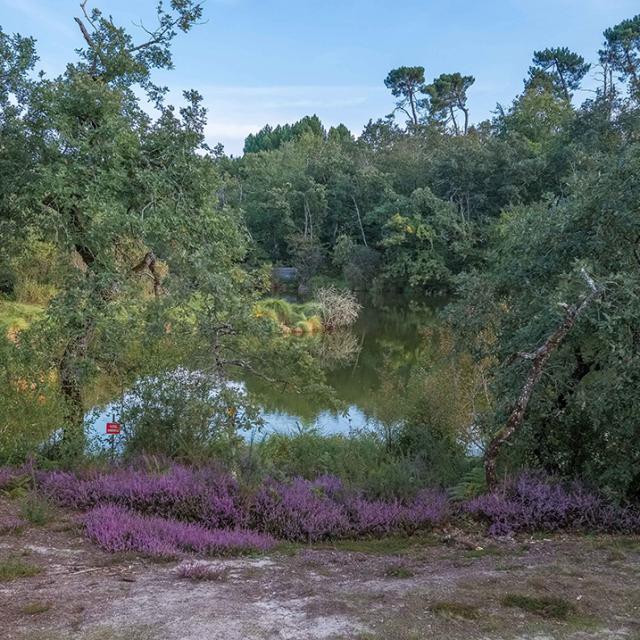 Site des 9 Fontaines à Bostens