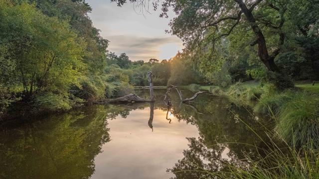 Site des 9 Fontaines à Bostens