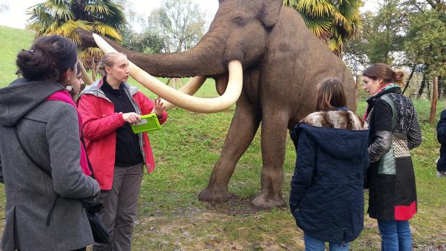 PréhistoSite à Brassempouy