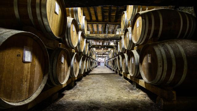 Domaine D'espérance