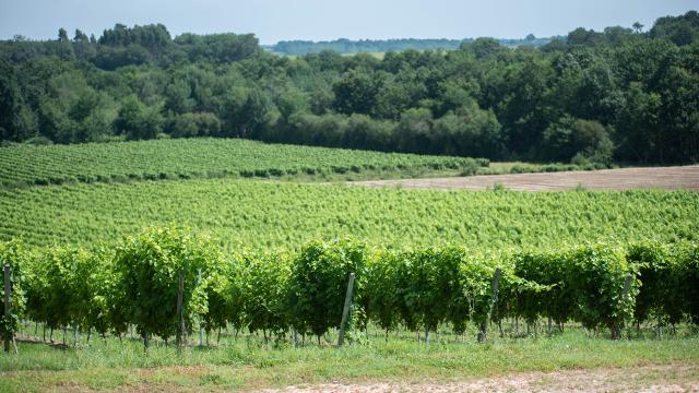 Ecomusée de L'armagnac