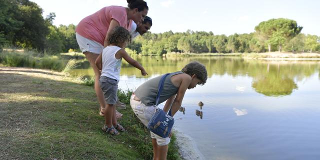 Etang de pêche de Massy à Gaillères