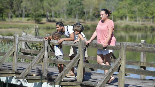 Etang De Massy à Gaillères