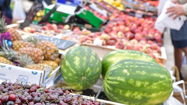 Marché Saint Roch à Mont de Marsan