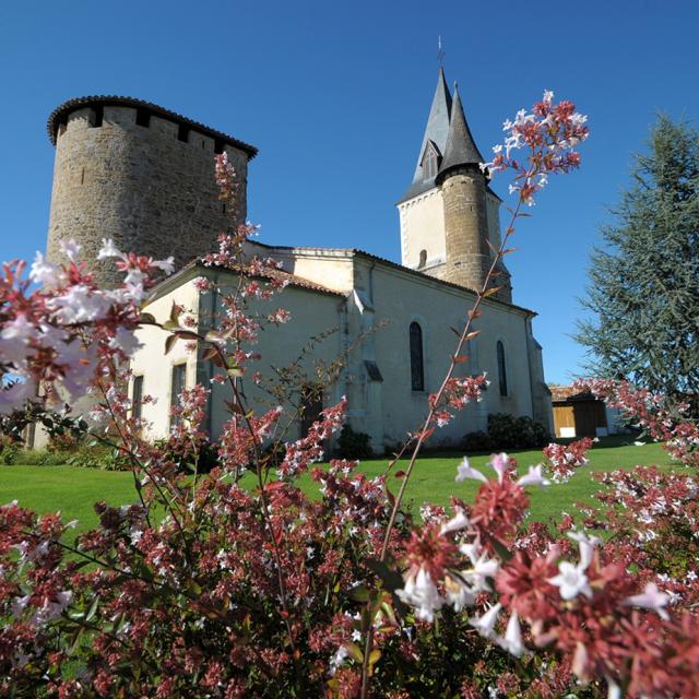 20140904_photo_NIC_4338