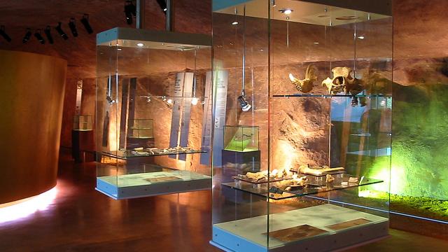 PréhistoSite à Brassempouy