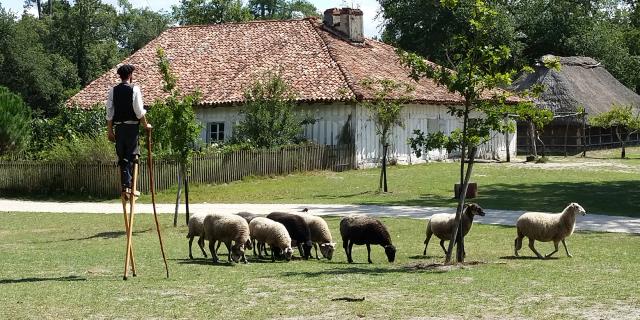 Ecomusée de Marquèze