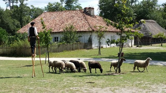 Ecomusée de Marquèze