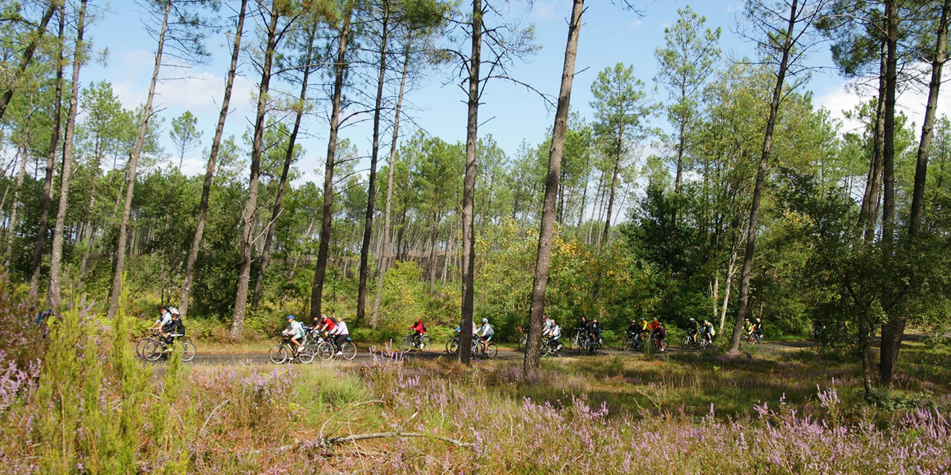 La Scandibérique à Mont de Marsan