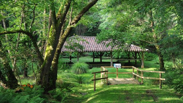 Zone humide de Limac