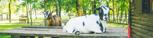 Parc Nahuques - Mont de Marsan